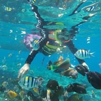 snorkeling di Gili Air Lombok
